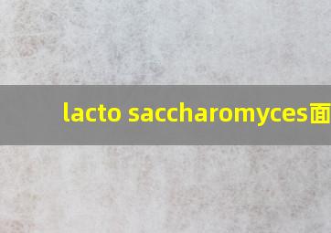 lacto saccharomyces面膜